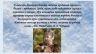 Коренные малочисленные народы России Русский Север_page-0015.jpg